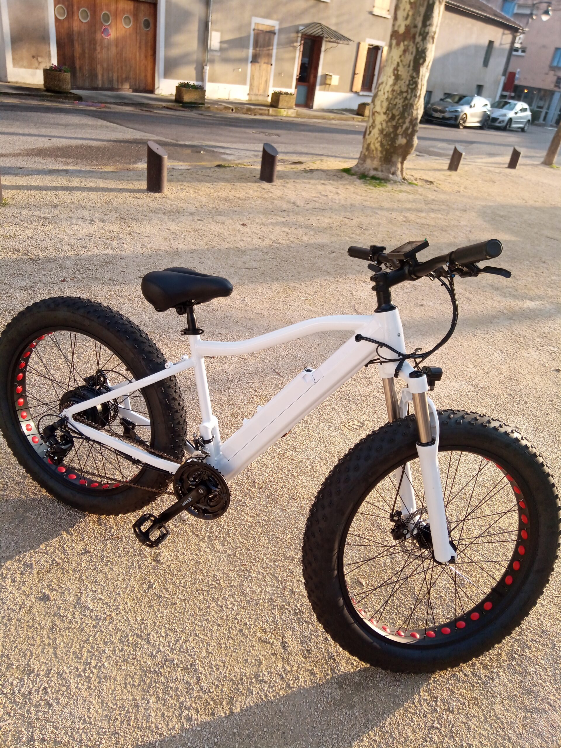 Fat Bike